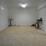 111327 Wild Meadows Basement