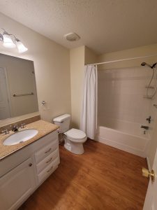 Hall Bathroom