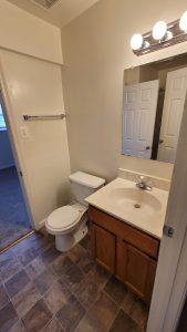 Lower Level Full Bathroom